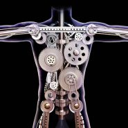 Male human x-ray with internal gears